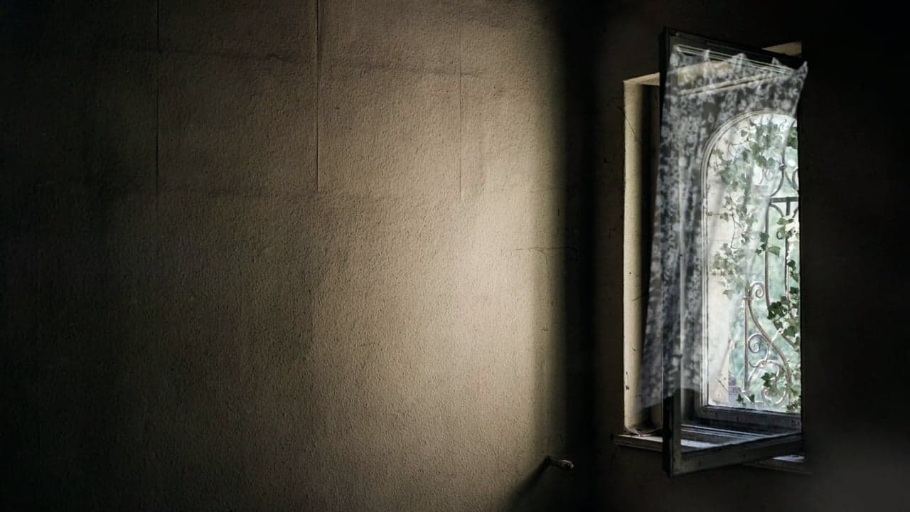 Soft morning light drifting through curtains in a calm home