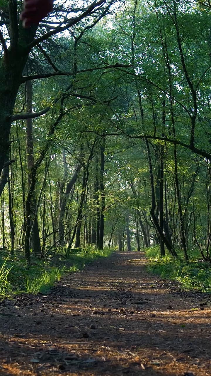 A steady walk along a green trail in soft daylight, one step after another
